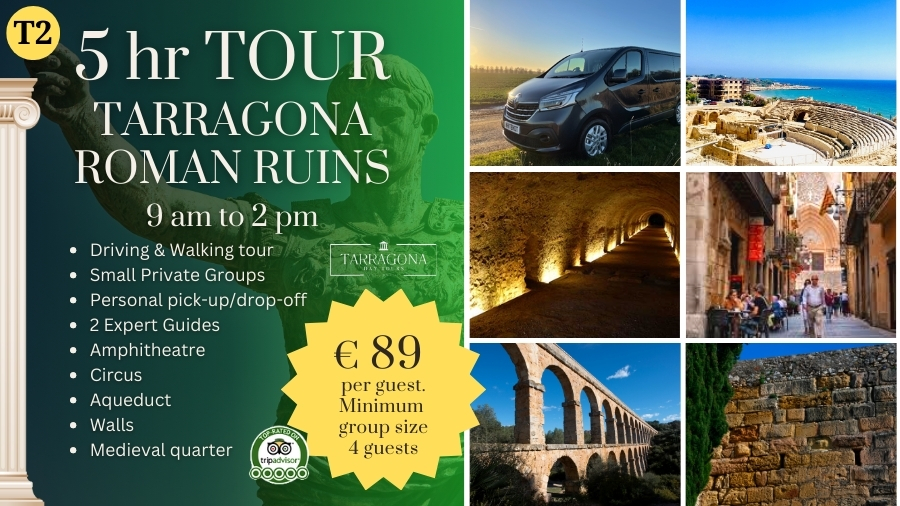 Roman ruins private tour tarragona cruise ship pickup