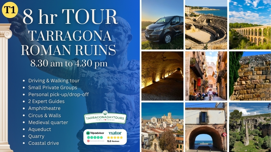 Roman ruins private tour tarragona cruise ship pickup