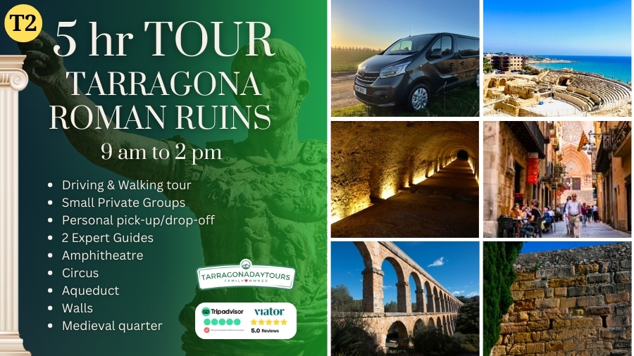 Roman ruins private tour tarragona cruise ship pickup