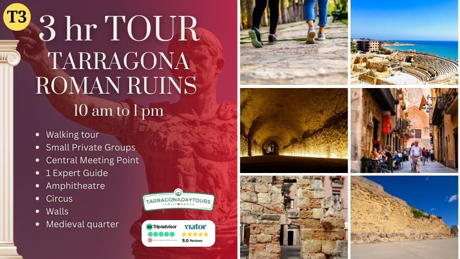 Roman ruins private walking tour tarragona cruise ship pickup